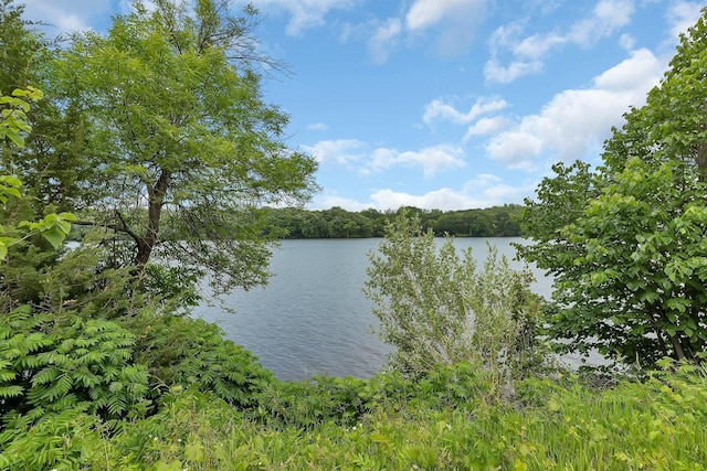 505 Riverside Ave N, Sartell, MN 56377 - water view
