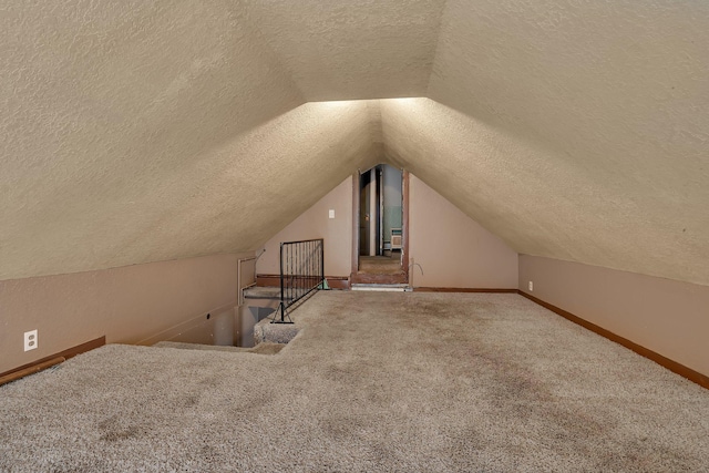505 Riverside Ave N, Sartell, MN 56377 - bonus room featuring a textured ceiling, lofted ceiling, and carpet flooring