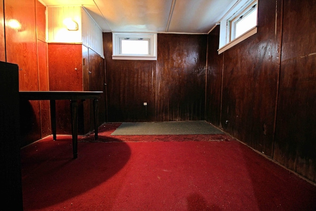 4317 2nd Ave S, Minneapolis, MN 55409 - basement with wood walls, healthy amount of natural light, and carpet floors