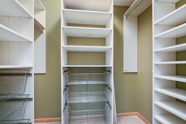 14802 Margaret Pl, Minnetonka, MN 55345 - spacious closet with carpet flooring