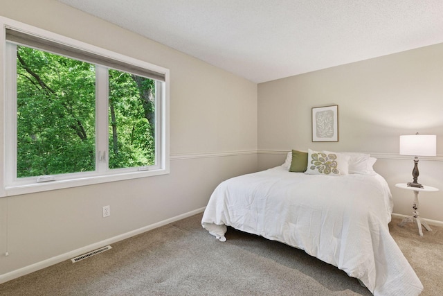 8155 134th St W, Apple Valley, MN 55124 - bedroom featuring carpet and baseboards