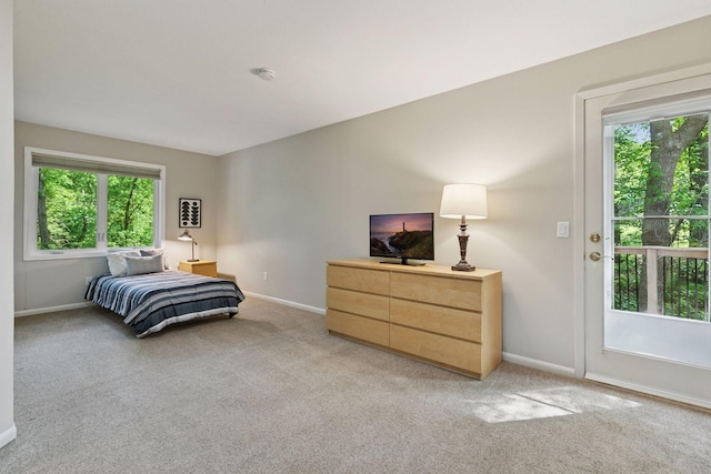 8155 134th St W, Apple Valley, MN 55124 - bedroom with multiple windows and light colored carpet