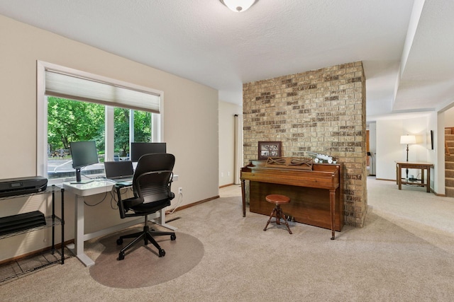 8155 134th St W, Apple Valley, MN 55124 - office space with carpet, a fireplace, and a textured ceiling