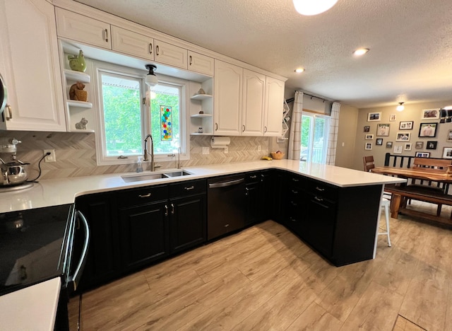 211 5th St NE, Barnesville, MN 56514 - kitchen featuring dishwashing machine, open shelves, a sink, dark cabinetry, and stove