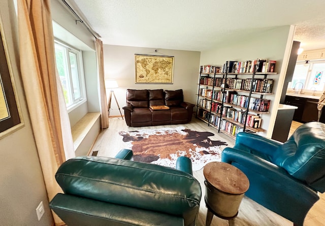 211 5th St NE, Barnesville, MN 56514 - living area featuring wood finished floors and a textured ceiling