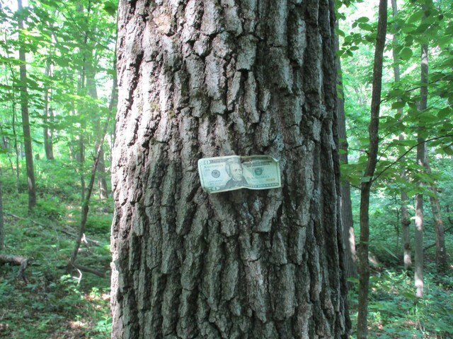 Listing photo 5 - caption unavailable