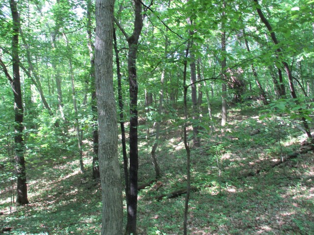 Listing photo 16 - caption unavailable