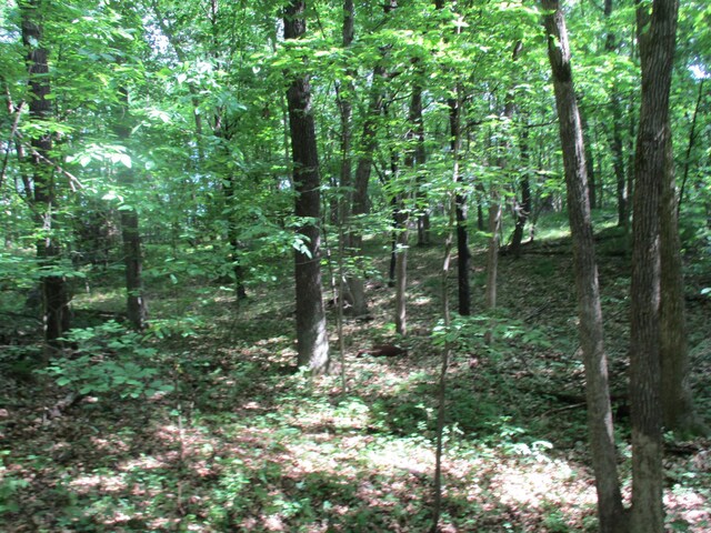 Listing photo 20 - caption unavailable