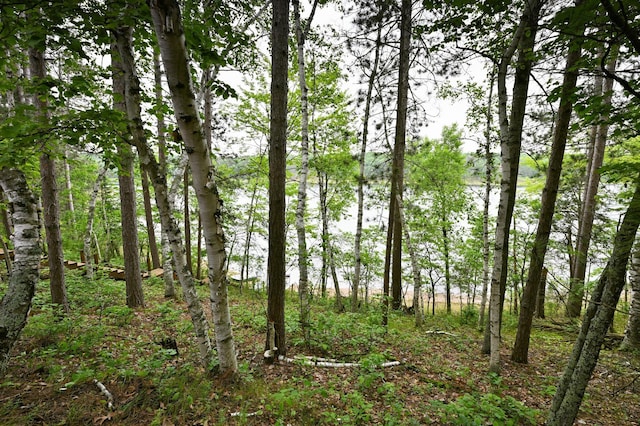 3938 State Road 77, Swiss Twp, WI 54830 - view of nature