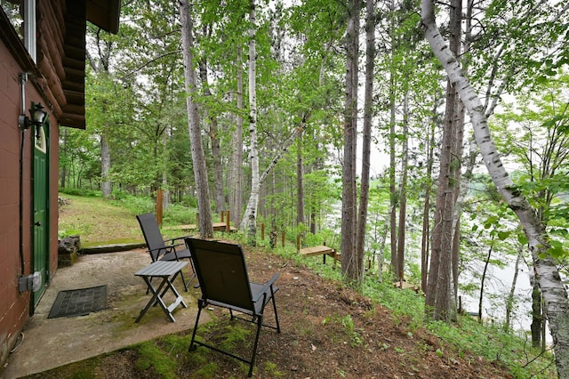 3938 State Road 77, Swiss Twp, WI 54830 - view of yard with a patio