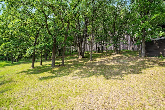 21750 Elk Lake Rd NW, Elk River, MN 55330 - view of green lawn