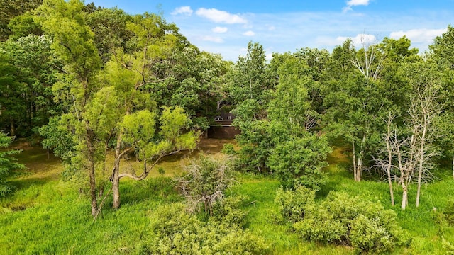 21750 Elk Lake Rd NW, Elk River, MN 55330 - view of woods