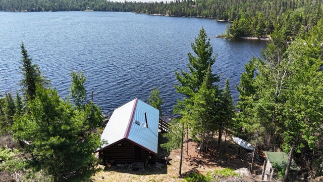 557 Wolf Pt W, Crane Lake, MN 55725 - photo 3