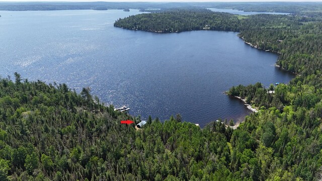 557 Wolf Pt W, Crane Lake, MN 55725 - photo 4