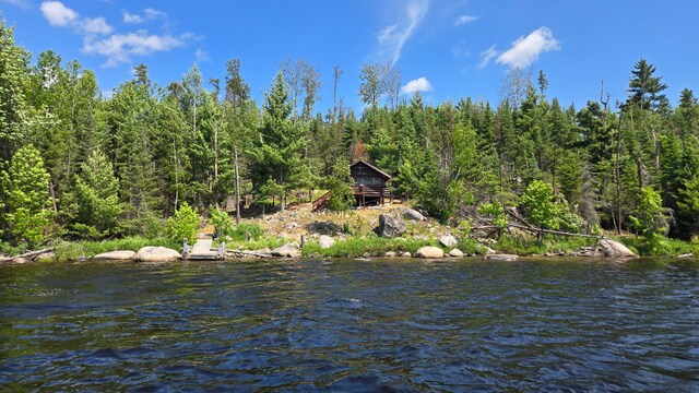 557 Wolf Pt W, Crane Lake, MN 55725 - photo 6