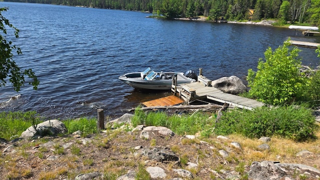 557 Wolf Pt W, Crane Lake, MN 55725 - photo 18