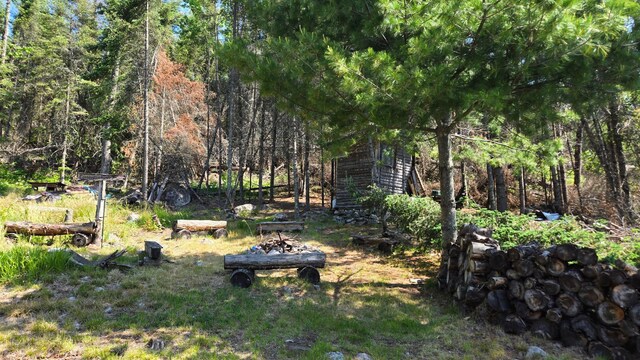 557 Wolf Pt W, Crane Lake, MN 55725 - photo 19