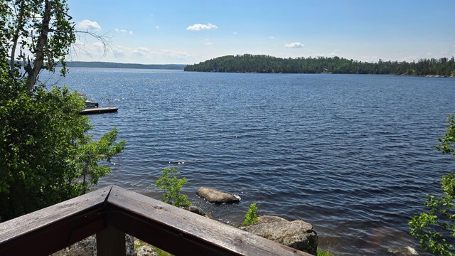557 Wolf Pt W, Crane Lake, MN 55725 - photo 25