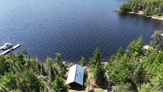 557 Wolf Pt W, Crane Lake, MN 55725 - photo 27