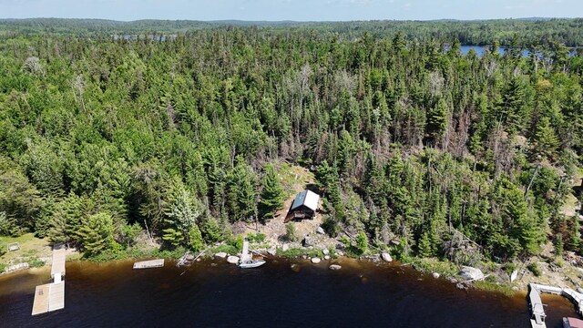 557 Wolf Pt W, Crane Lake, MN 55725 - photo 28