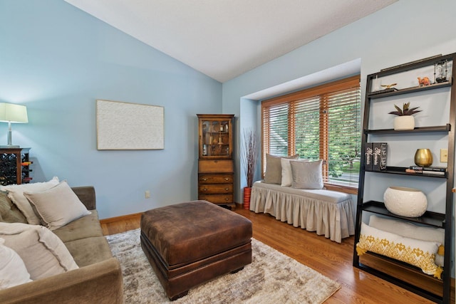 989 Coneflower Ct, Eagan, MN 55123 - living area with lofted ceiling and wood finished floors