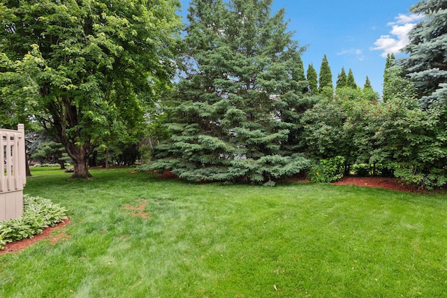 989 Coneflower Ct, Eagan, MN 55123 - view of green lawn