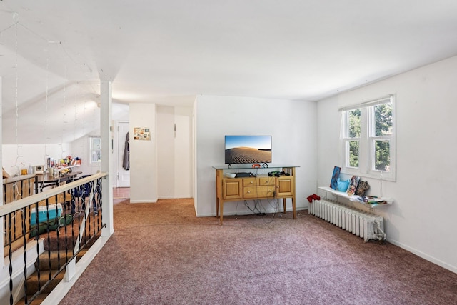 1384 Midway Pkwy, Saint Paul, MN 55108 - living room with radiator heating unit, carpet floors, and baseboards