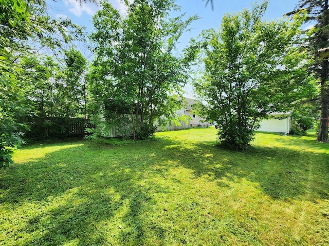 14 4th Ave SE, Dodge Center, MN 55927 - view of yard