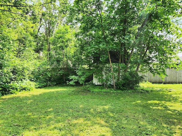 14 4th Ave SE, Dodge Center, MN 55927 - view of yard