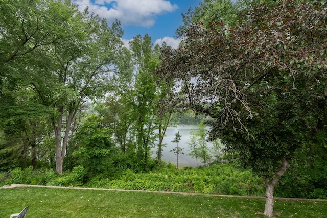 1281 Carlson Lake Ln, Eagan, MN 55123 - photo 20