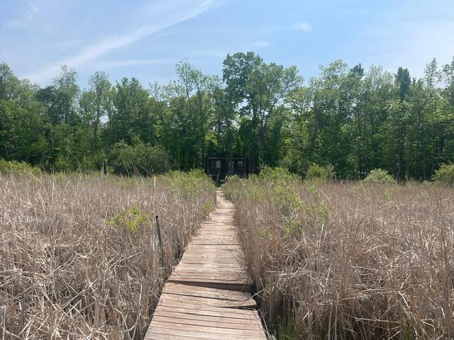 4716 Big Rice Lake Rd NE, Thunder Lake Twp, MN 56672 - view of dock