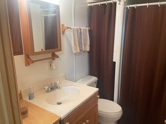 4716 Big Rice Lake Rd NE, Thunder Lake Twp, MN 56672 - full bath with toilet, vanity, and a shower with curtain