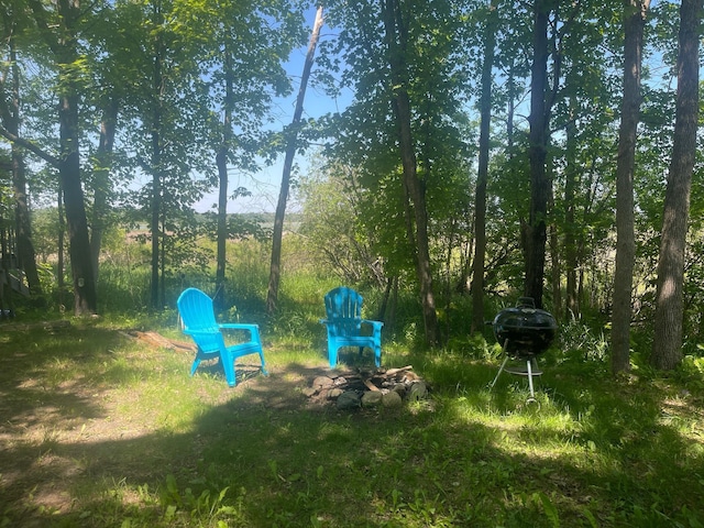 4716 Big Rice Lake Rd NE, Thunder Lake Twp, MN 56672 - photo 20