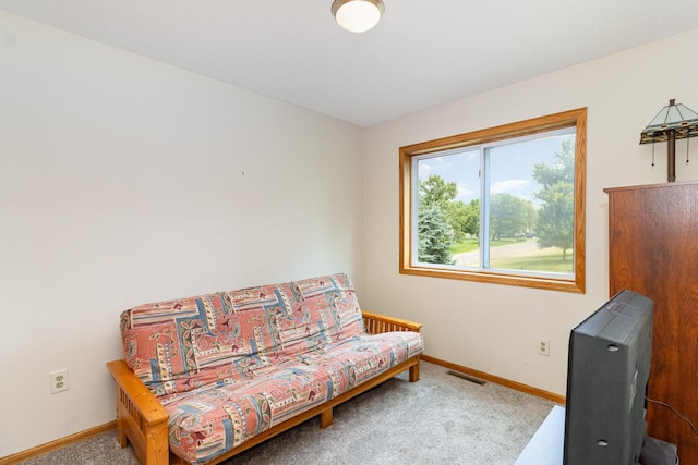 29645 Broadway St, Lindstrom, MN 55045 - photo 15