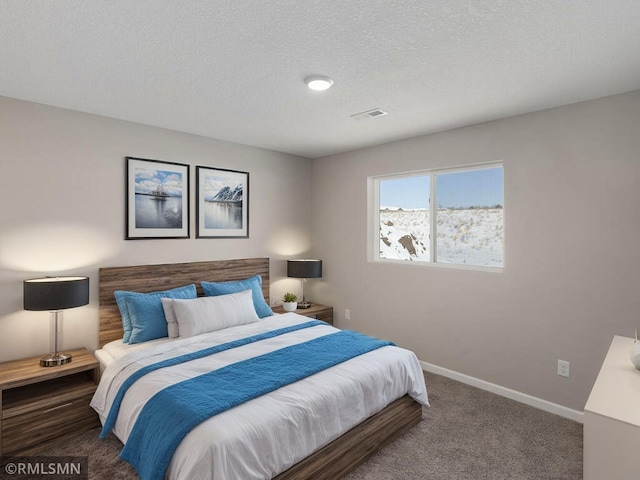 7471 147th Ln NW, Ramsey, MN 55303 - carpeted bedroom featuring baseboards and a textured ceiling