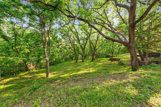 1819 4th Ave, Mankato, MN 56001 - view of grassy yard
