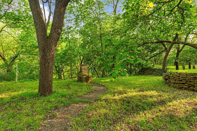 1819 4th Ave, Mankato, MN 56001 - view of yard