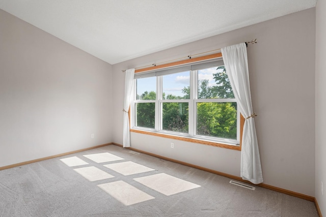 6701 Urbandale Ln N, Maple Grove, MN 55311 - unfurnished room with light carpet and vaulted ceiling