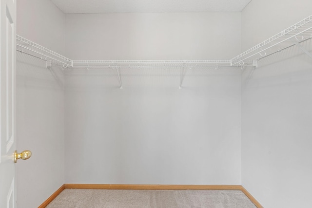 6701 Urbandale Ln N, Maple Grove, MN 55311 - spacious closet featuring carpet
