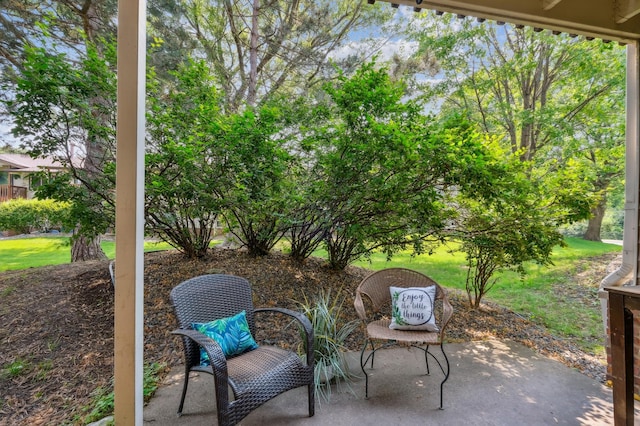 4004 Foss Rd Unit 101, Saint Anthony, MN 55421 - view of patio