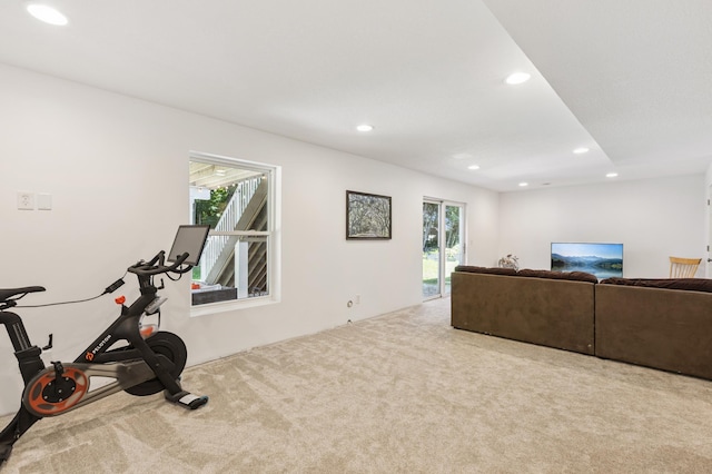 2740 Simons Dr, Chaska, MN 55318 - workout room featuring carpet and recessed lighting