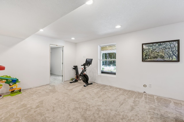 2740 Simons Dr, Chaska, MN 55318 - exercise area featuring carpet flooring and recessed lighting