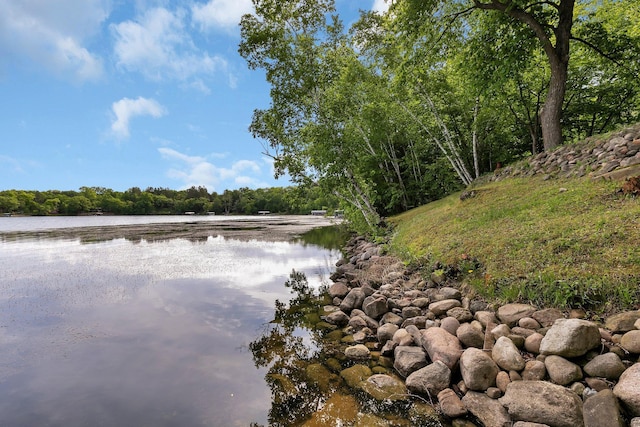 21014 Elmway Rd, Richmond, MN 56368 - water view with a forest