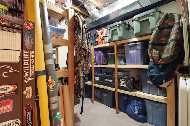 13589 Birch Rd, Rogers, MN 55374 - view of storage area