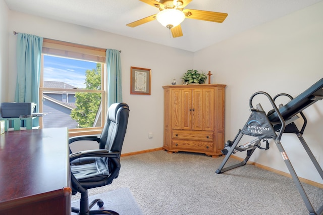 13589 Birch Rd, Rogers, MN 55374 - home office featuring light carpet and a ceiling fan