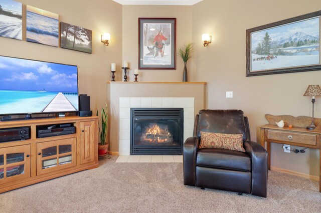 13589 Birch Rd, Rogers, MN 55374 - sitting room featuring carpet and a tiled fireplace
