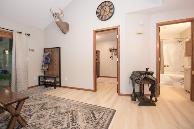 544 Auburn Pl NW Unit H, Elk River, MN 55330 - hall featuring light wood finished floors and lofted ceiling