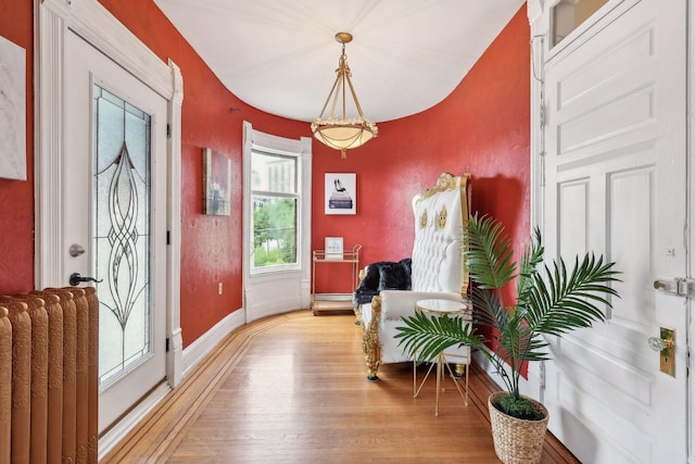 1601 Park Ave, Minneapolis, MN 55404 - entryway with light wood finished floors and radiator heating unit