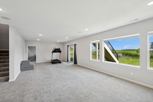 11604 Brayburn Trl, Dayton, MN 55369 - workout room with carpet floors and recessed lighting