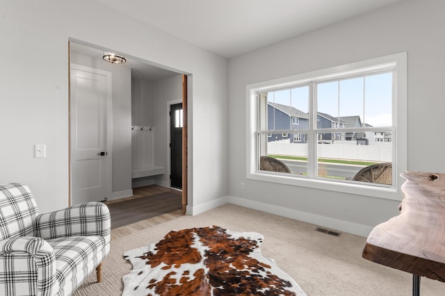 17660 Jett Cir, Prior Lake, MN 55372 - sitting room with light carpet